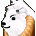 28579.gif