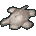 5229.gif