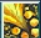 Bow%20250.png