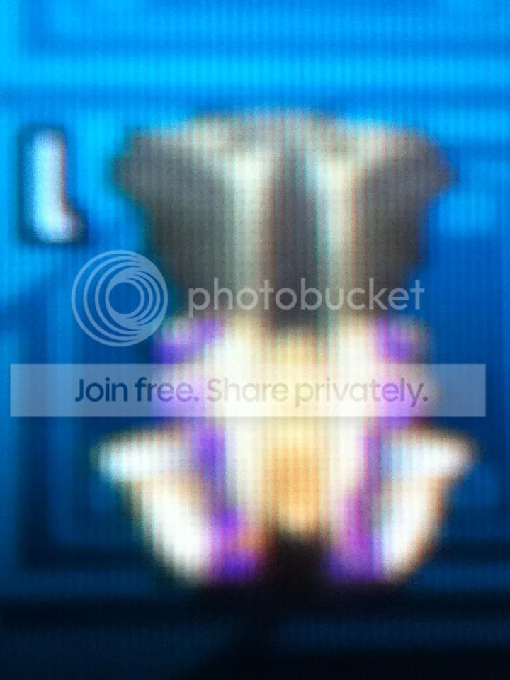 IMG_37371_zps0a053fb0.jpg?t=1372694400