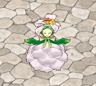 White Flower Pix