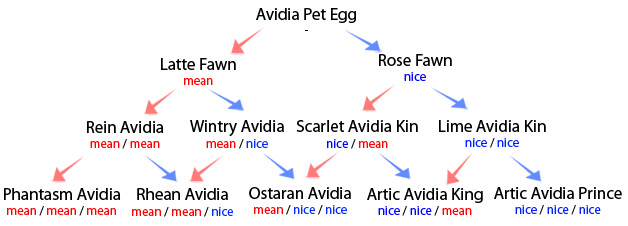 avidia-guide.jpg