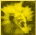 cap0068.jpg