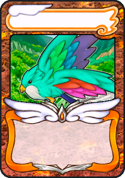 Colorful Bird