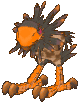 Desert Cooer