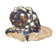 desert%20worm%20elit.PNG
