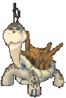 Evil Puqi Turtle