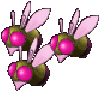 Fetor Fly