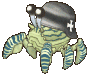 Mud Crab