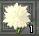 paradise_flower.PNG
