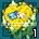 passionbear.png