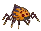 sand%20spider.png