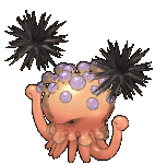 Stab Jellyfish