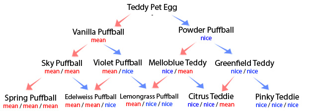 teddy-guide.jpg