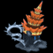 Whelk Elder