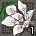 whitedansh.png